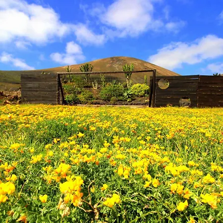 Apartment Roco 3 - Großer Pool, Sauna, Meerblick, Entspannung Für 2 Personen *