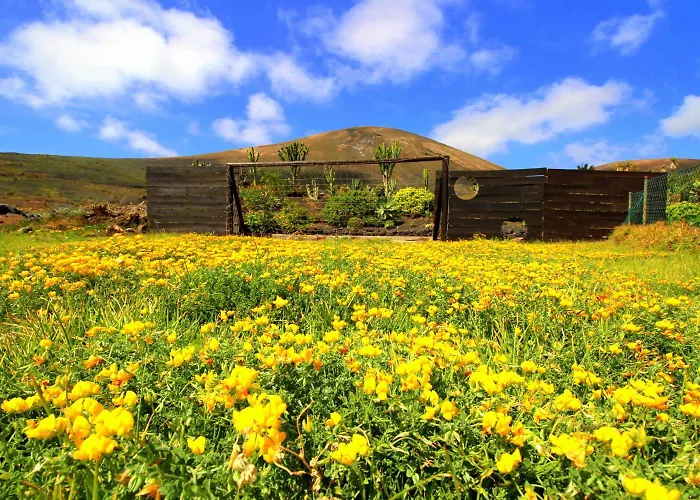 Apartment Roco 3 - Großer Pool, Sauna, Meerblick, Entspannung Für 2 Personen *